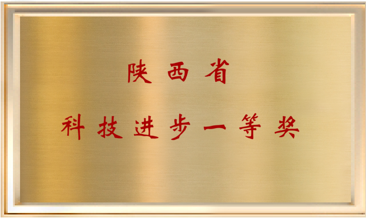 First Prize of Shaanxi Provincial Science and Technology Progress Award