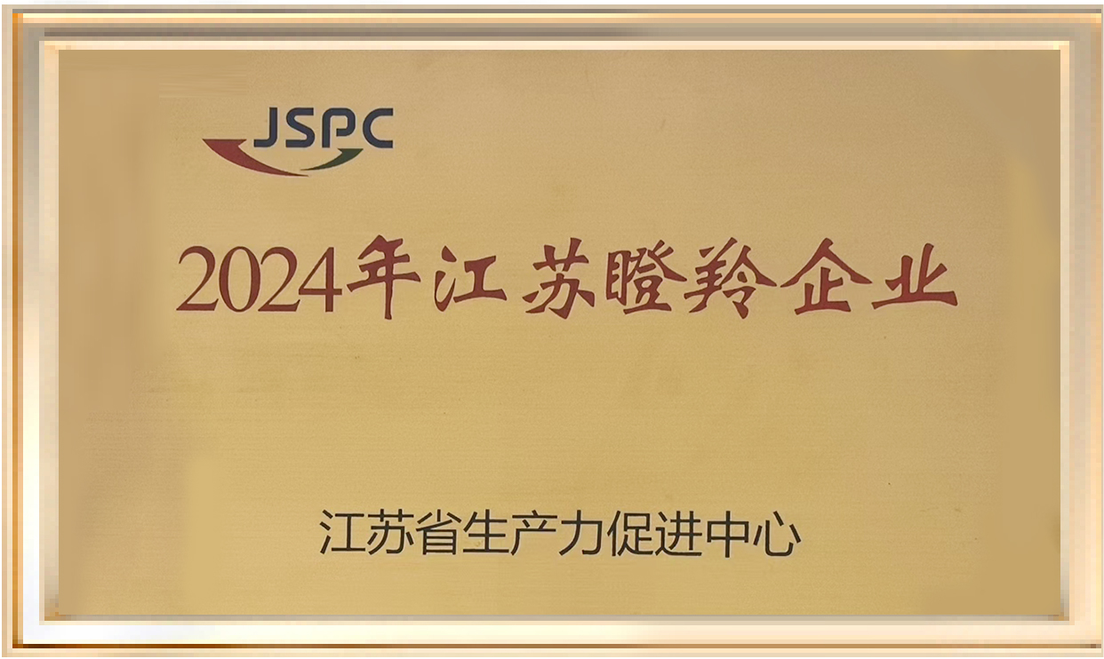 Jiangsu Gazelle Enterprise in 2024