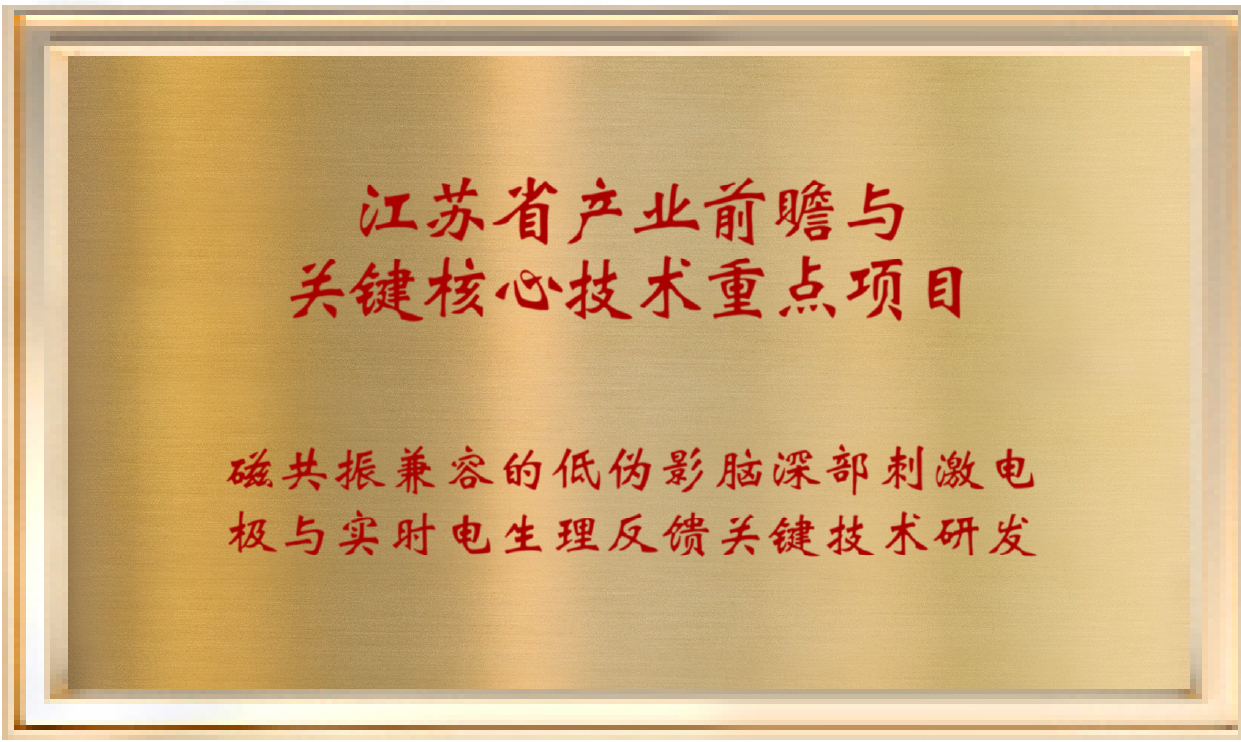 Jiangsu Province Industrial Outlook and Key Core Technology Key Projects